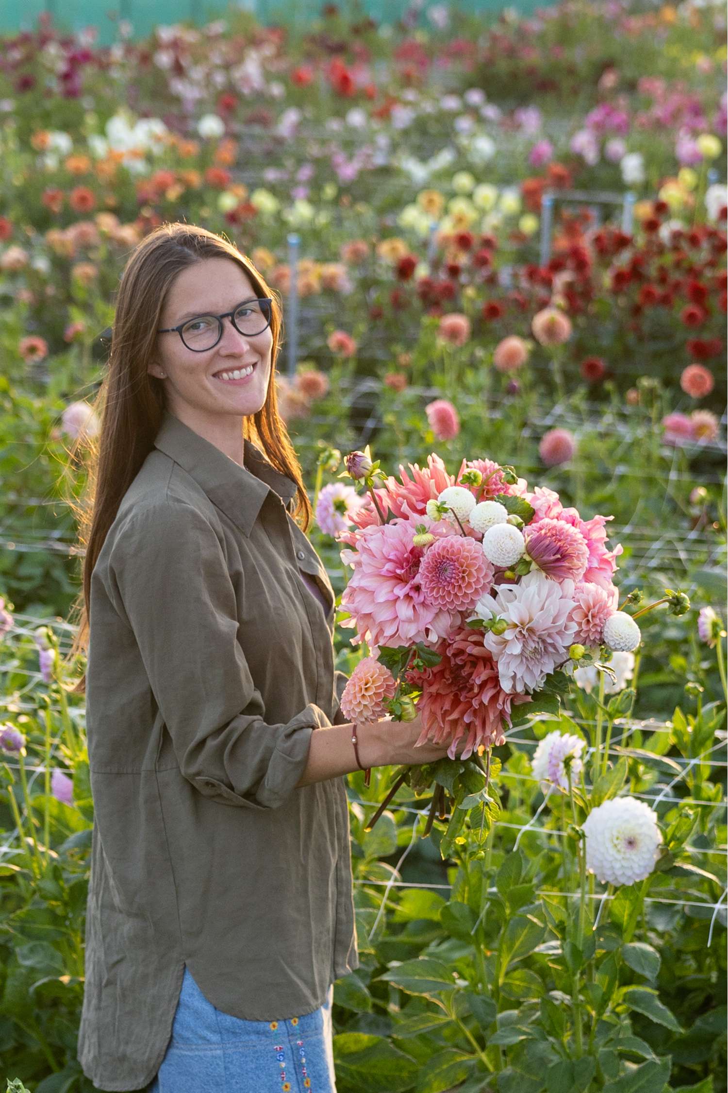 Dahlia collectie 'Watermelon Shake'